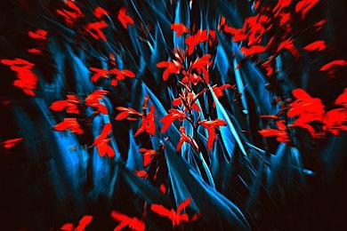 《洛克人EXE合集1+2》正式发售 Steam定价368元