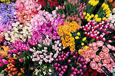 SIE总裁确认正打算收购更多的工作室