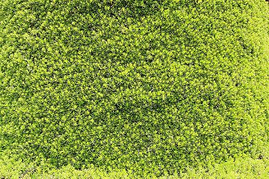 Envar Games⾸款原创IP《Witchspire》亮相 gamescom 2025